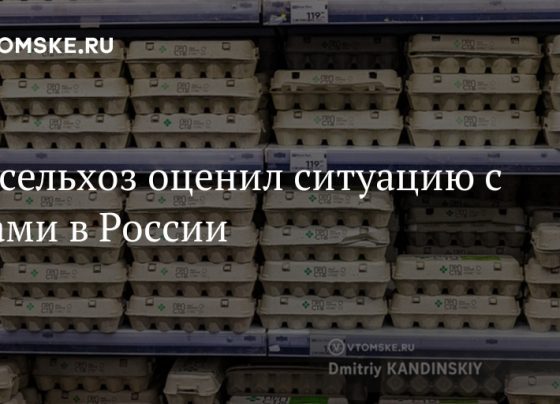 Минсельхоз оценил ситуацию с яйцами в России