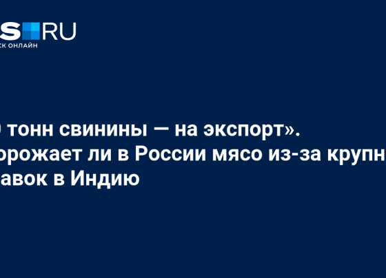 Подорожает ли в России мясо из-за крупных поставок свинины в Индию: свиноводы рассказали о состоянии отрасли и дали свой прогноз на будущее - 15 марта 2024