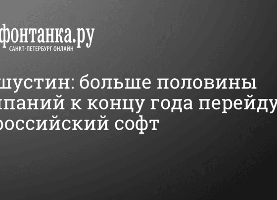 Правительство готовит меры поддержки для перехода компаний на отечественное ПО в России - 21 мая 2024