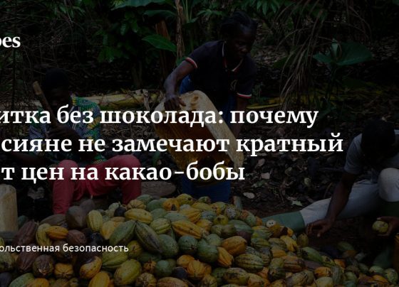 Плитка без шоколада: почему россияне не замечают кратный рост цен на какао-бобы