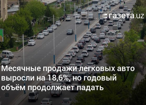 Месячные продажи легковых авто выросли на 18,6%, но годовый объём продолжает падать