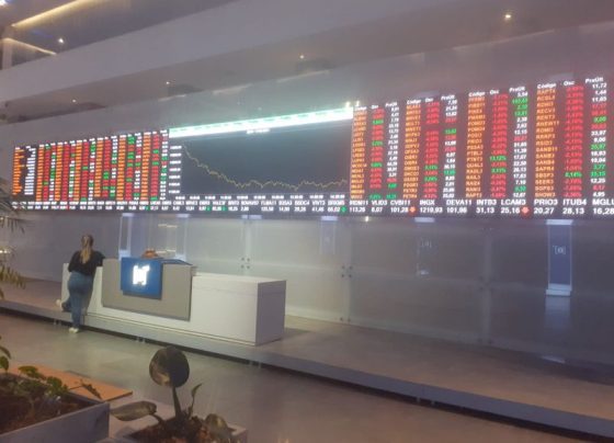 &copy; Reuters Рынок акций  Бразилии закрылся падением, Bovespa снизился на 0,21%