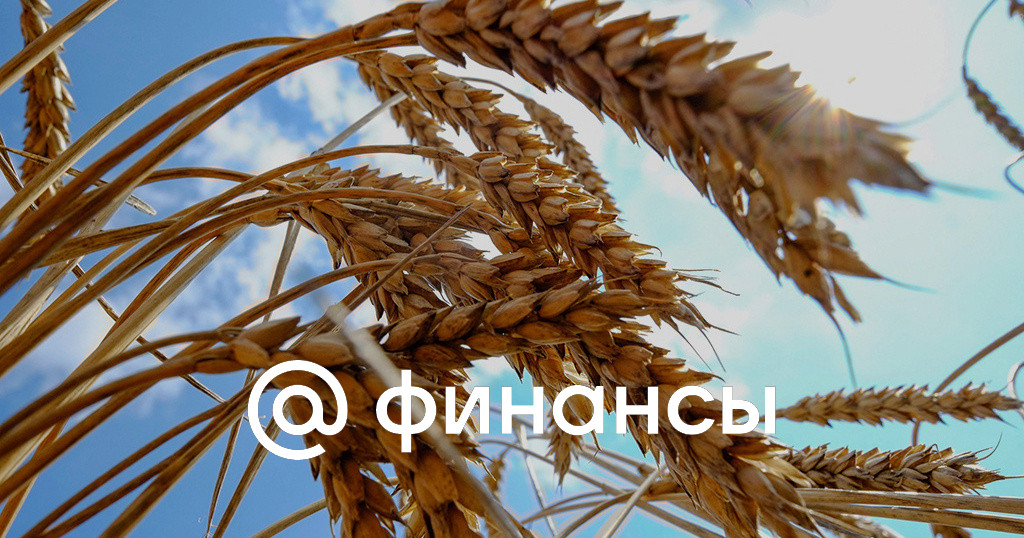 Валовый сбор зерна в РФ составляет почти 122 млн тонн