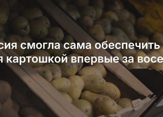 Какими продуктами Россия может сама себя обеспечить: Росстат