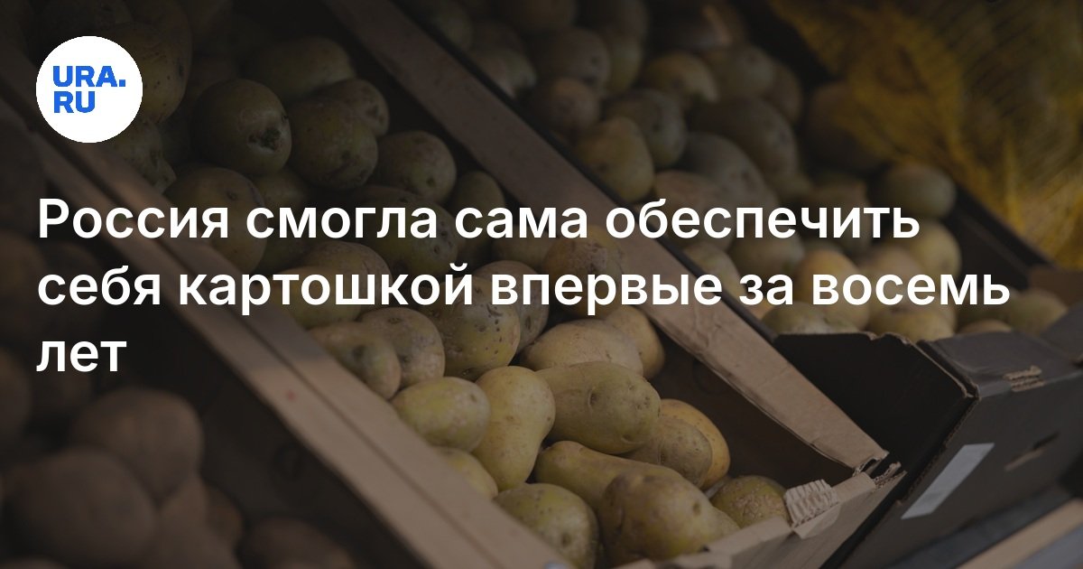 Какими продуктами Россия может сама себя обеспечить: Росстат