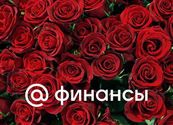 Минсельхоз РФ не исключил повышения пошлины на цветы из недружественных стран