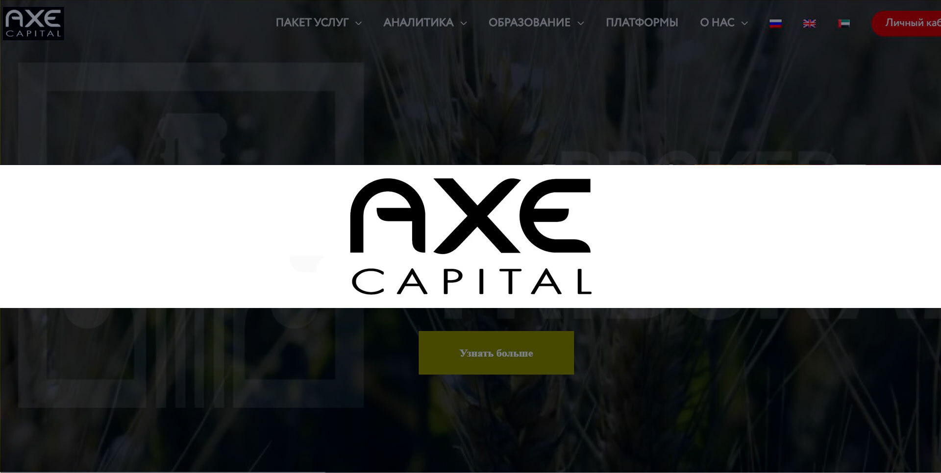 Обзор Брокера Axe Capital