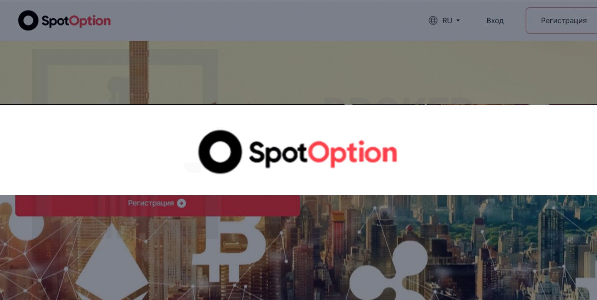 Обзор Брокера SpotOption