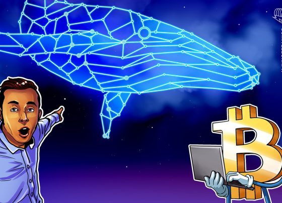 Bitcoin Whale 'Spoapy' накапливает 344 млн долларов BTC, поскольку цена падает ниже 90 тыс.