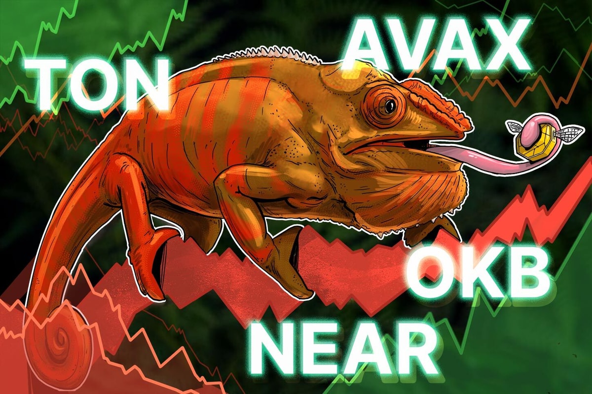 Bitcoin Price Recovery устанавливает базу для Ton, Avax, Riea, Okb to Rally