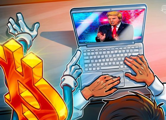 Биткойн цена оттаивает после заявления Трампа - Трейдер говорит: «Оставайся в ловтве и обналичивался»