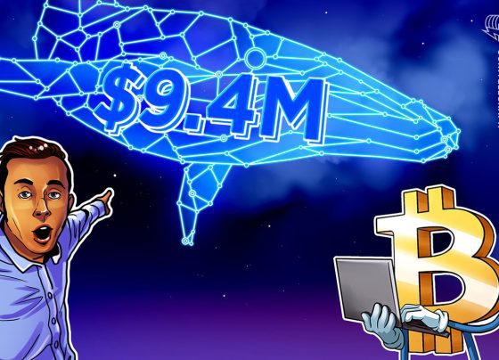 Кит закрывает 516 млн. Долл. США 40x Биткойн короткие, карманы 9,4 млн. Долл. США за 8 дней