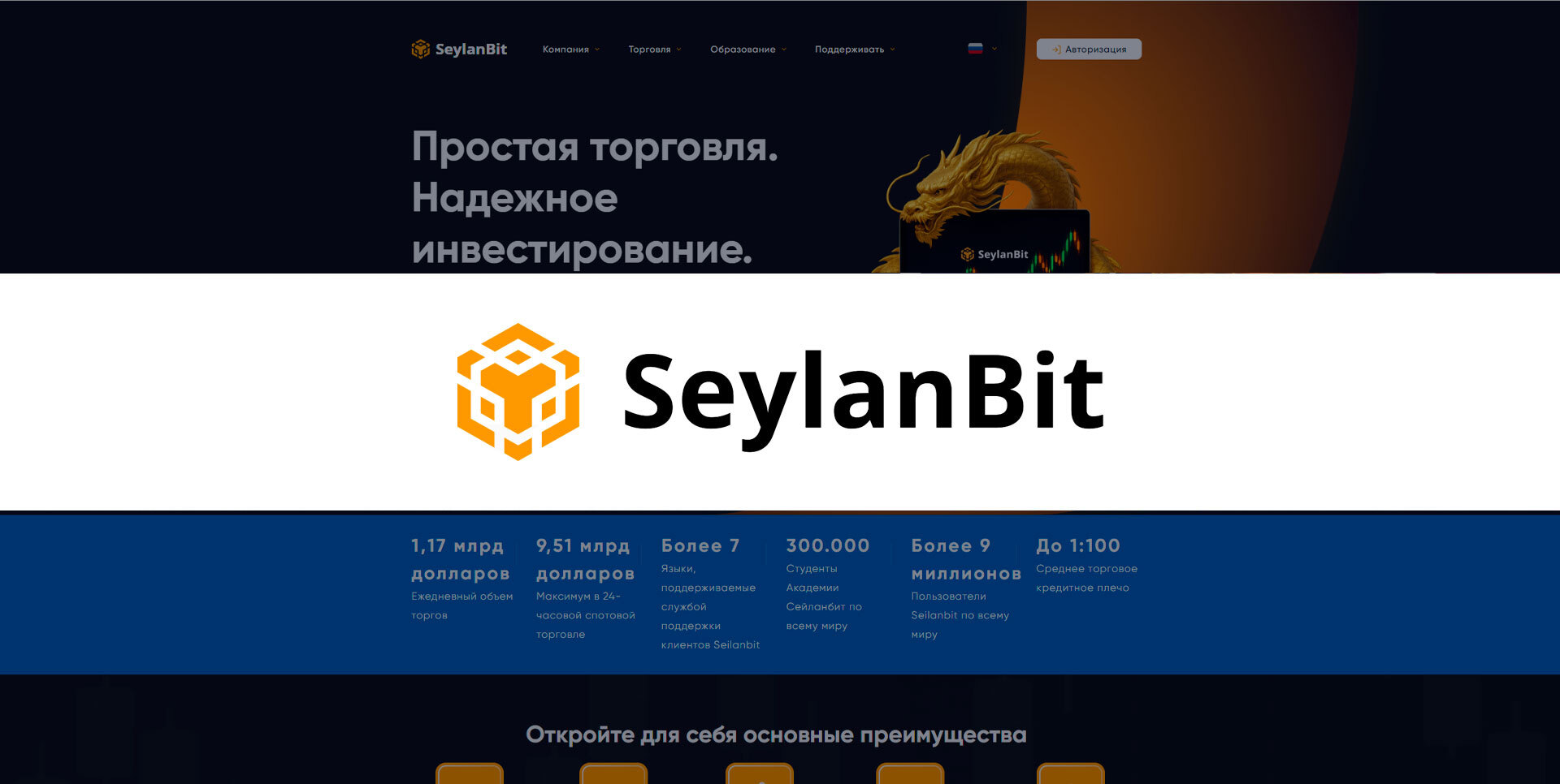Короткий обзор брокера SeylanBit