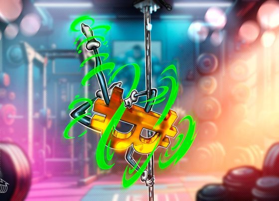 Биткойн долгосрочные владельцы получают увеличение 26 млрд долларов, так как цена BTC восстанавливается после «довольно нормальной» 30% коррекции