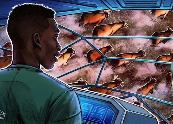 Биткойн цена готовится к 70% до 80% «прирост» в качестве метрик Onchain и Spot BTC ETF Spike Spike