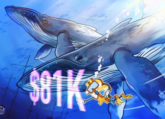 Тенденция накопления биткойнов зеркала в эпоху 2020 года.