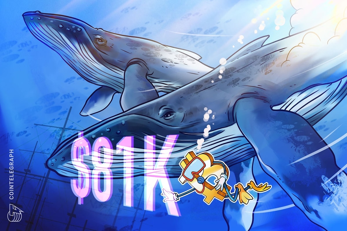 Тенденция накопления биткойнов зеркала в эпоху 2020 года.