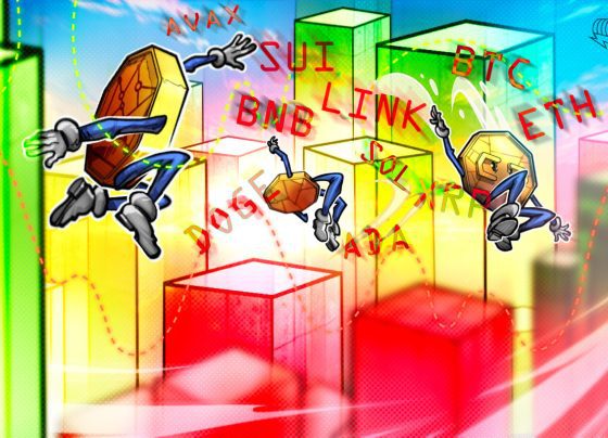 BTC, ETH, XRP, BNB, SOL, DOGE, ADA, SUI, LINK, AVAX