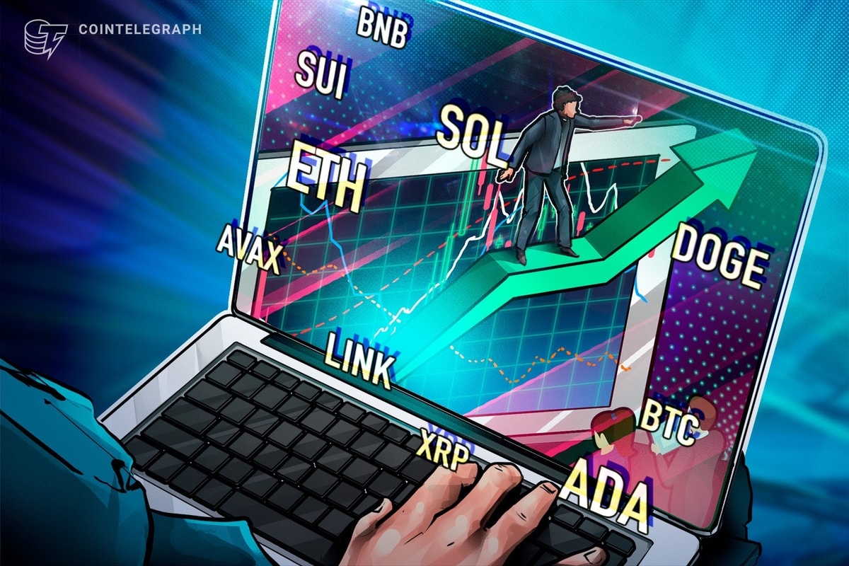 BTC, ETH, XRP, BNB, SOL, DOGE, ADA, SUI, LINK, AVAX