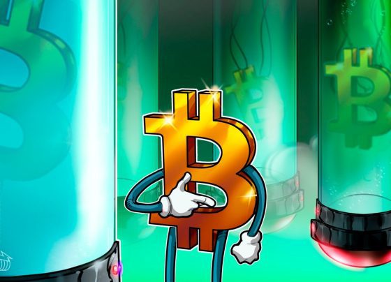 «Биткойн стандартный» автор поддерживает финансирование Dev, чтобы сделать спаминг биткойн дорогостоящим