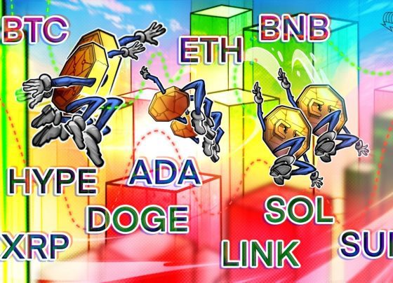 BTC, ETH, XRP, BNB, SOL, DOGE, ADA, Hype, Sui, Link