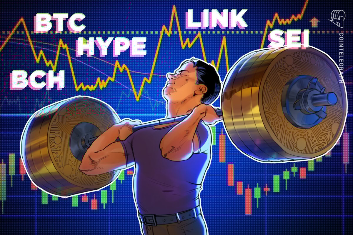 Биткойн преследует новые максимумы как Link, BCH, Hype, SEI Breakout
