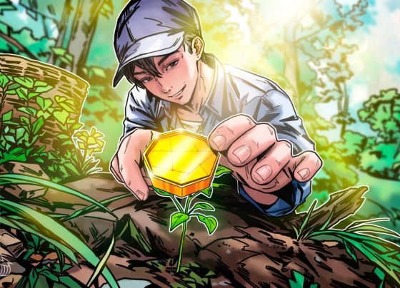 Как найти следующий большой крипто -драгоценный камень в 2025 году