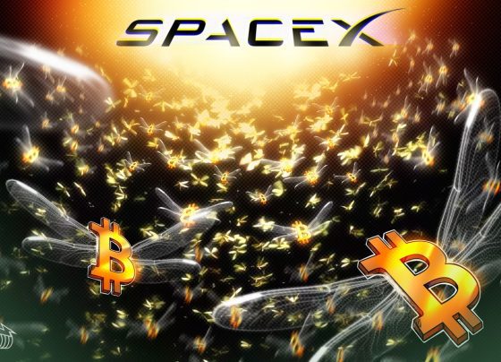 SpaceX переходит в 153 миллиона долларов BTC после трехлетнего молчания