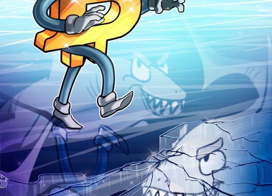 Биткойн «Мягкая опасная зона», как выгода-это возможность