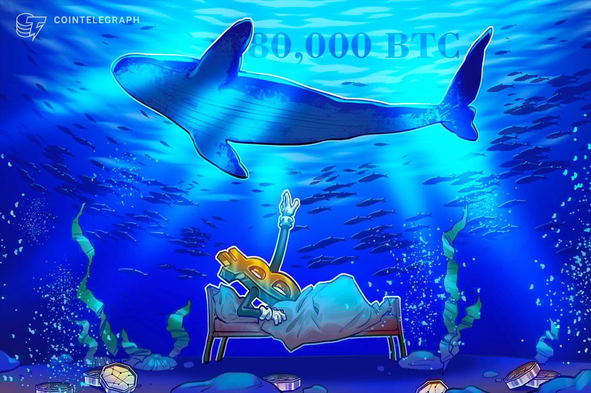 Квантовая угроза биткойнам? 80 000 BTC только что переехали через 14 лет