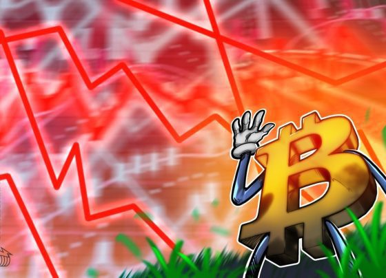 Нет альткойн Лето после биткойна на 112 тыс. Долл. США: bitfinex