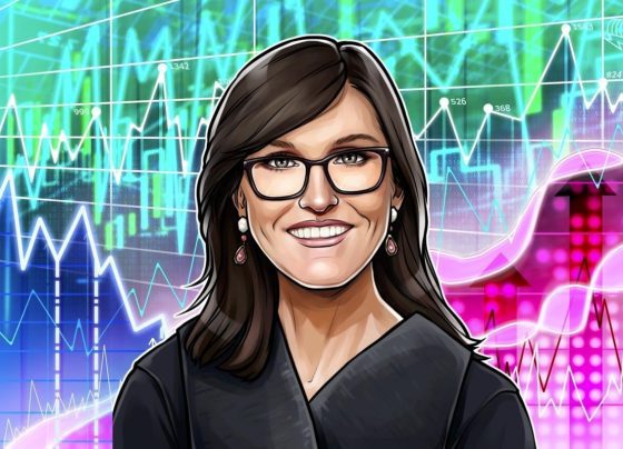 Ark Invest Buys Bitmine и бычьи акции в флагманских ETF