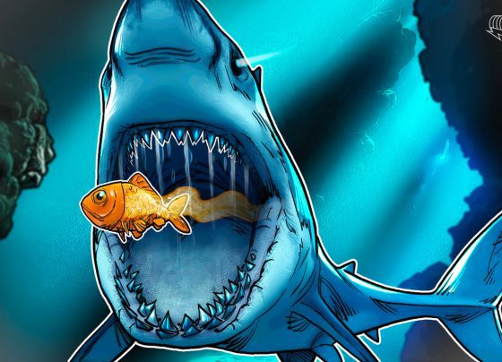 BTC Treasury Smarter Web Company стремится купить конкуренцию