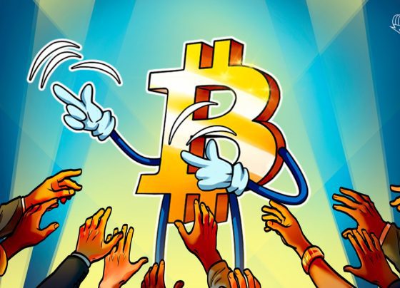 Бизнес -клиенты реки реинвестируют 22% прибыли в биткойны