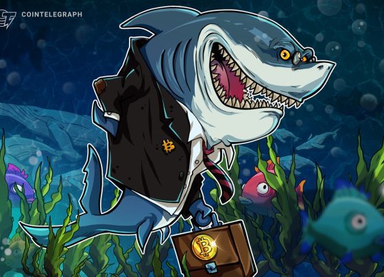 Биткойн был фирмой «покупать» для акул на прошлой неделе, новые данные показывают