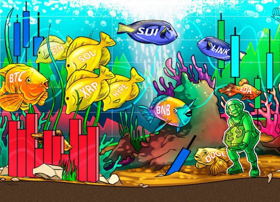 Слабый PPI приводит к биткойнам, Altcoin Rally