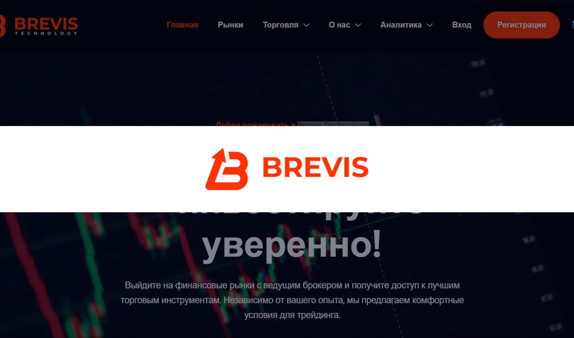 Обзор брокера Brevis Technology