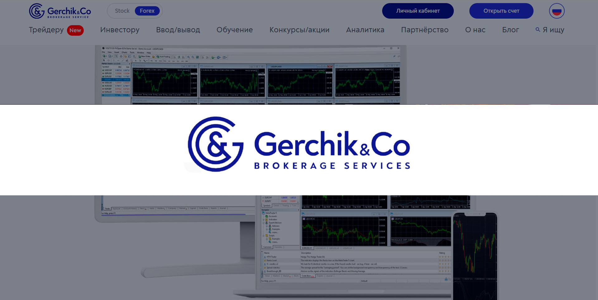 Обзор брокера Gerchik & Co: разбор деятельности 
