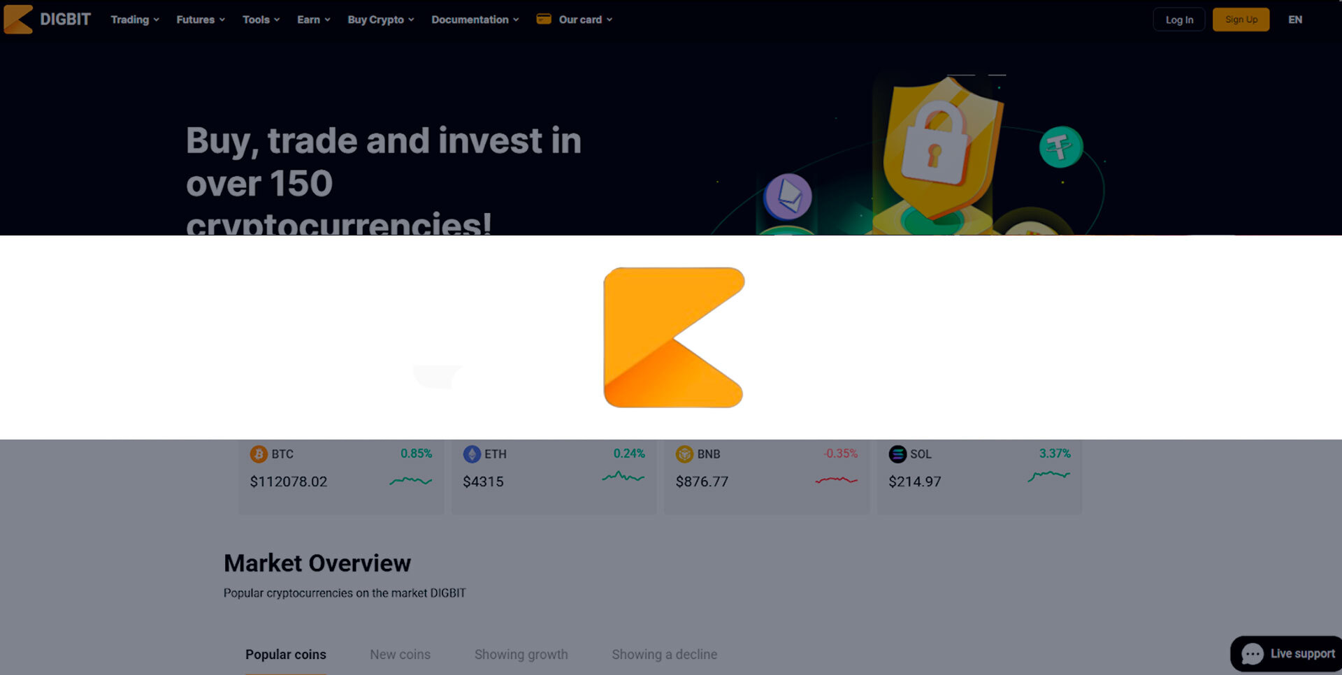 Обзор биржи DigBit